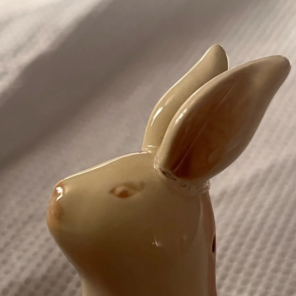 Nikko Woodbury Salt & Pepper Shakers Bunnies with Easter Base
